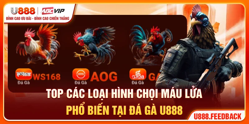 Top các loại hình chọi máu lửa phổ biến tại đá gà U888